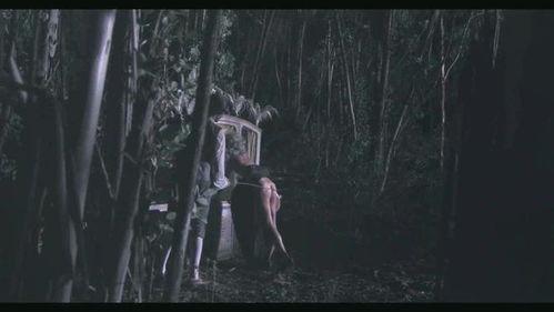 纵欲电影视频在线观看,一场视觉盛宴的在线观看之旅  第2张